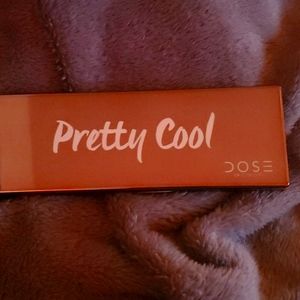 Dose of Colors Pretty Cool Palette